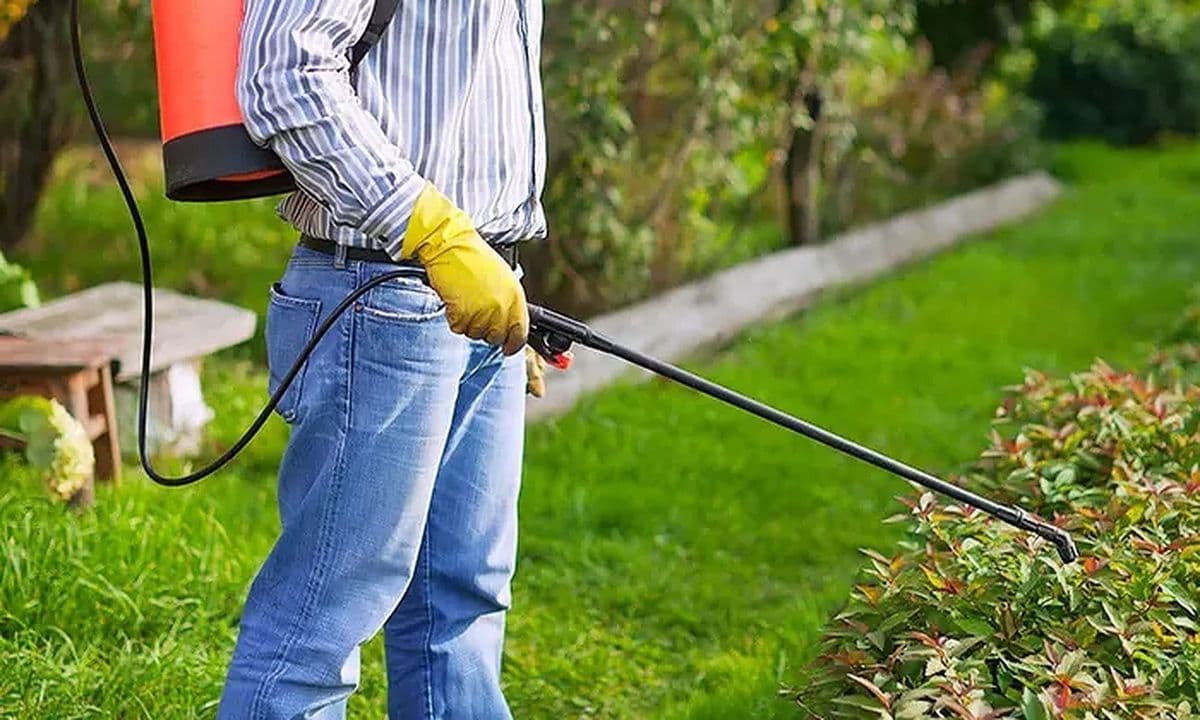 Herbal Pest Control Services