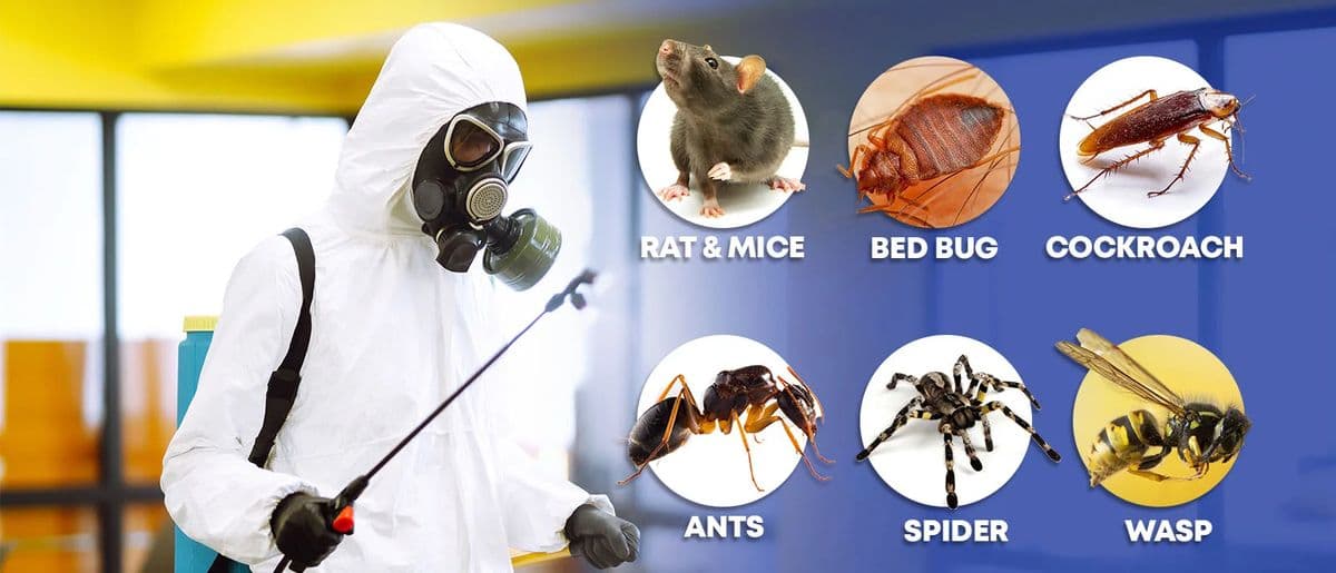 Household Pest Control Services