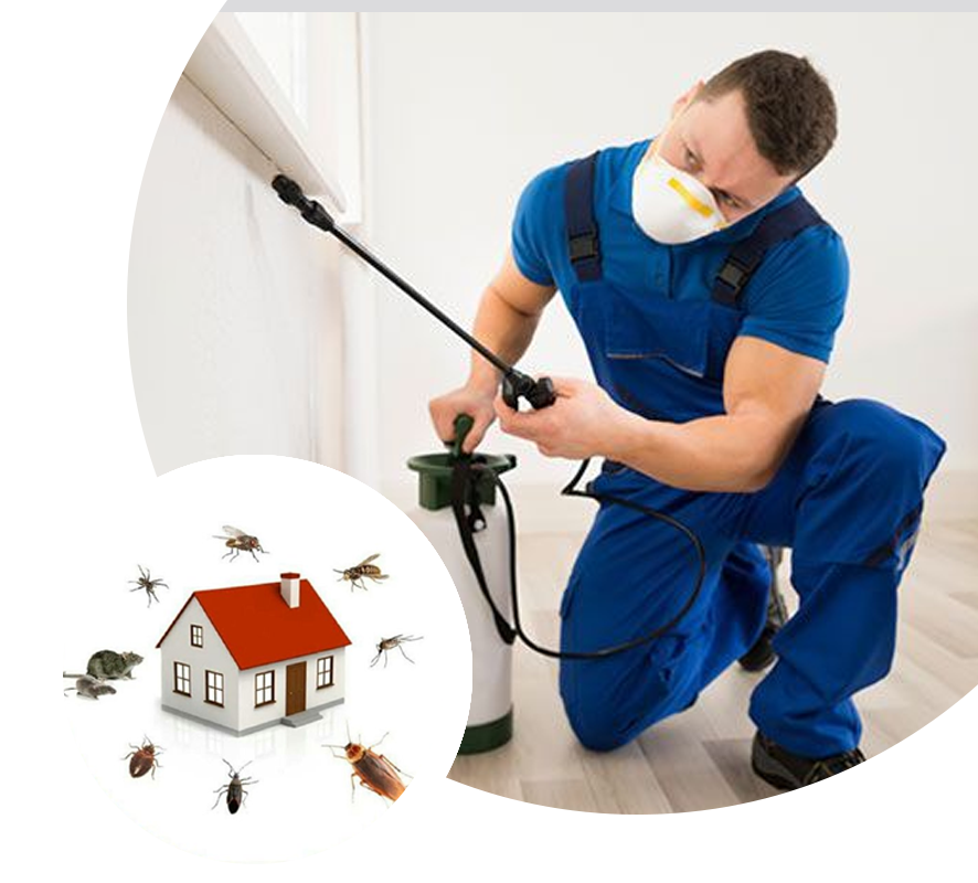 pest control atwater