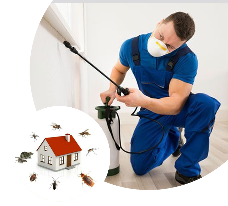 pest control san luis obispo 