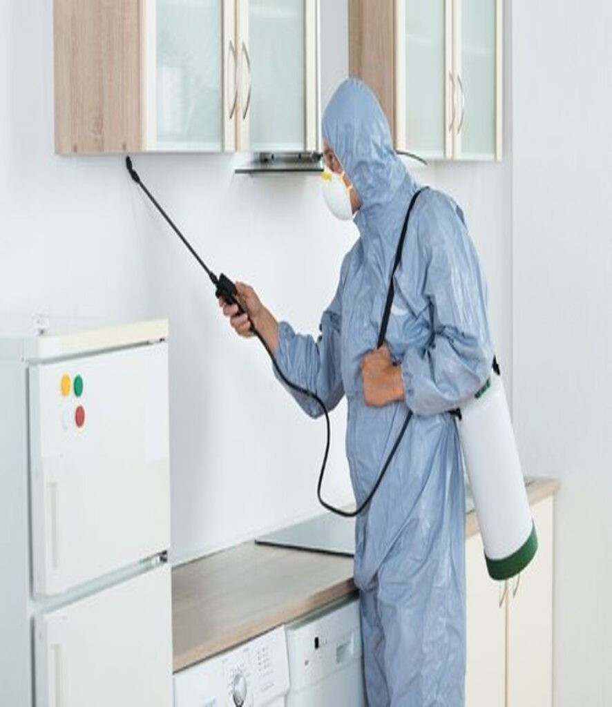 Best pest control services in delhi ncr